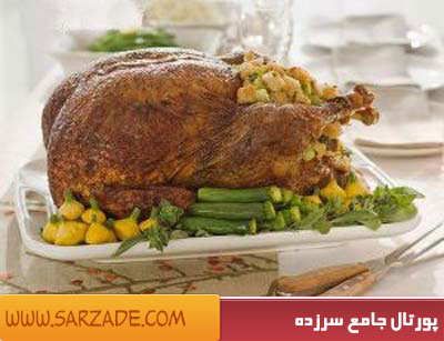 غذای بوقلمون