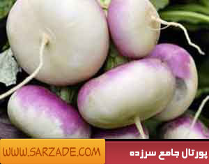 شلغم