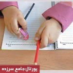 ما ایرانی ها بسیار نابغه هستیم