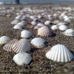 یکی از فانتزیام اینه که...9