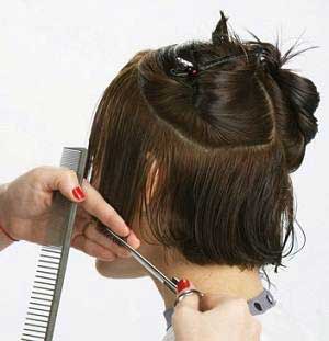 آموزش کوتاهی مدل باب گرد