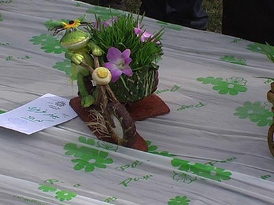 تزیین سبزه هفت سین سال 92