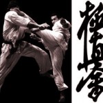 history2-karate-kyvkshyn