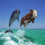 جدیدترین تست روانشناسی از بیمارستان سنت مری