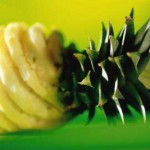 تزئین آناناس برای مناسبتها