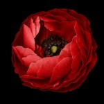 چگونه پدر مهمان های نوروزی را در بیاوریم؟!