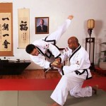 whatt1-hapkido