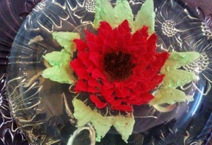 آموزش تصویری ژله تزریقی,آموزش ژله تزریقی تصویری, آموزش تصویری ژله های تزریقی