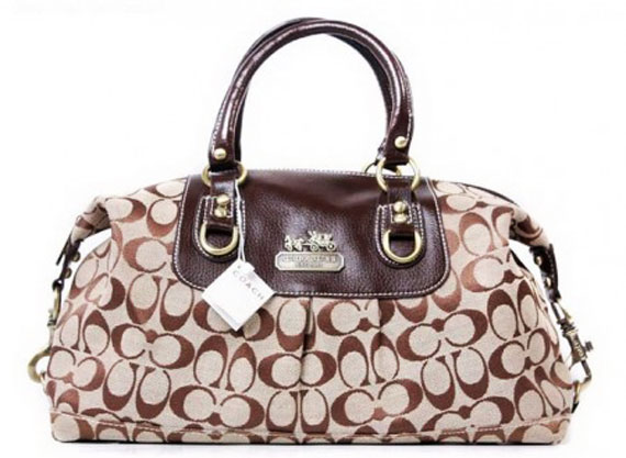 Coach-bag-model-(4)