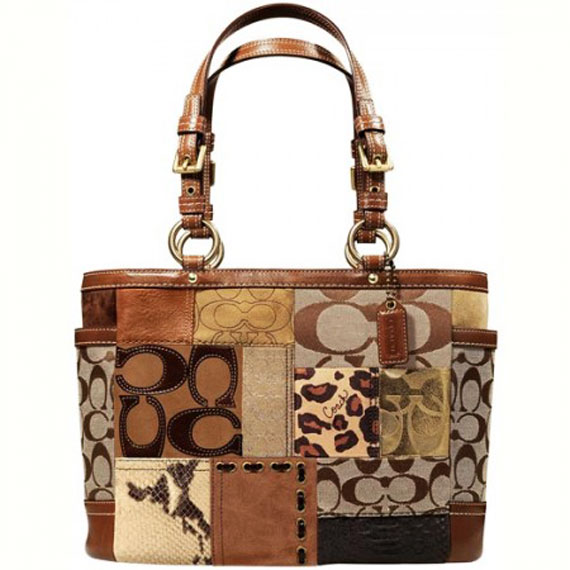 Coach-bag-model-(7)