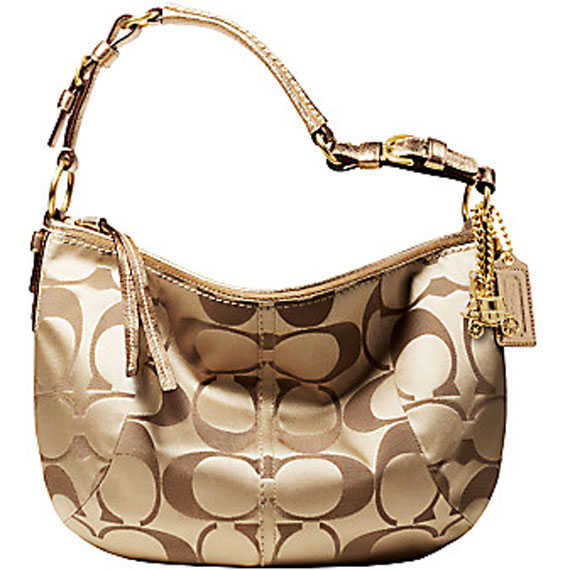 Coach-bag-model-(9)