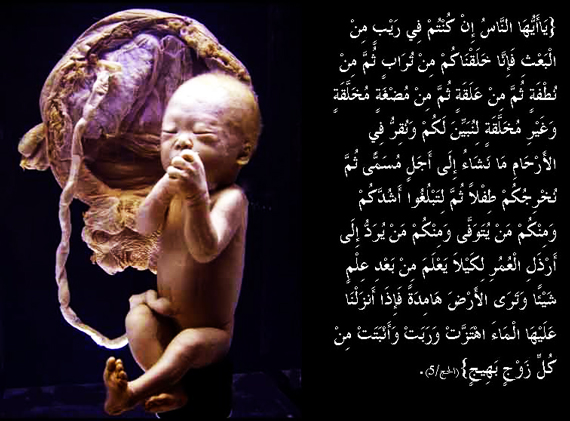دوران بارداری و قرآن,قرآن دوران بارداری,قرآن حاملگی