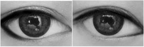 انواع خط چشم کشیدن,انواع خط چشم عکس,خط چشم انواع,خط چشم برای انواع چشم,خط چشم برای انواع چشمها,خط چشم بدون سایه,خط چشم با عکس,خط چشم بالدار,خط چشم برای چشمان درشت,خط چشم برای چشم های خمار