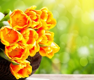 عکس گل برای فیس بوک,عکس گل برای کاور فیس بوک,عکس گل برای پس زمینه,عکس گل برای دسکتاپ,عکس گل برای پشت صفحه